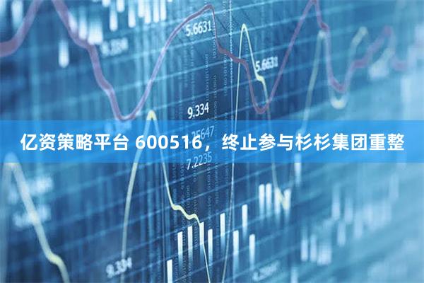 亿资策略平台 600516，终止参与杉杉集团重整