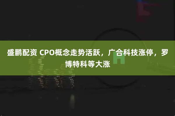 盛鹏配资 CPO概念走势活跃，广合科技涨停，罗博特科等大涨